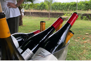 cata bodegas triay